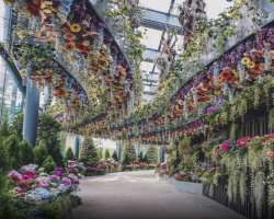 The park is being famous for keeping a record of nearly 4,00,000 natural greenery and plants growing